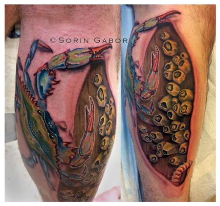 Sorin Gabor - Realistic blue crab tattoo on leg with barnacles on dock and skin rip
